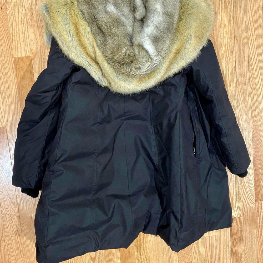 Aritzia parka